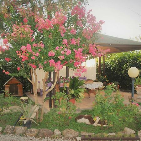 ויטרבו Villino Alle Terme מראה חיצוני תמונה