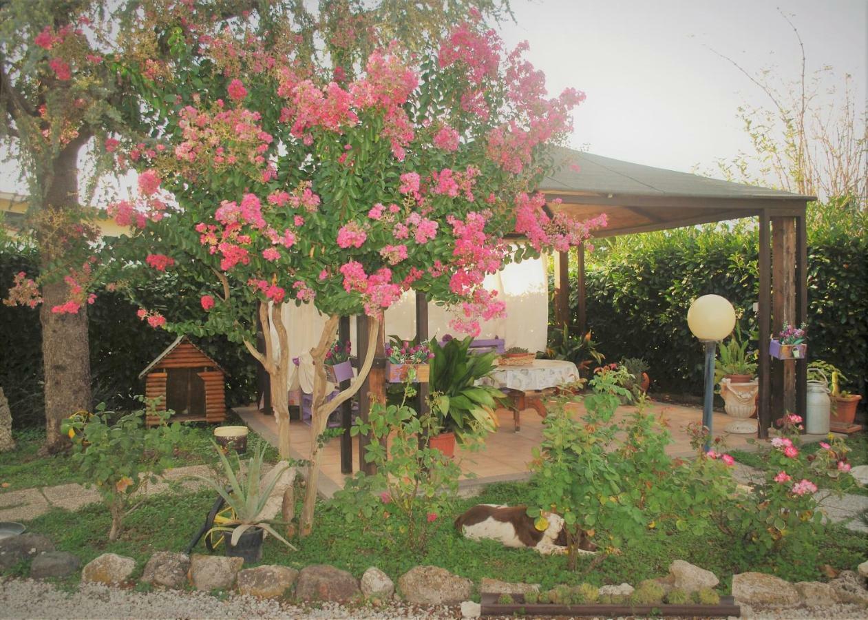 ויטרבו Villino Alle Terme מראה חיצוני תמונה