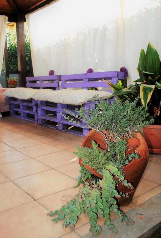 ויטרבו Villino Alle Terme מראה חיצוני תמונה