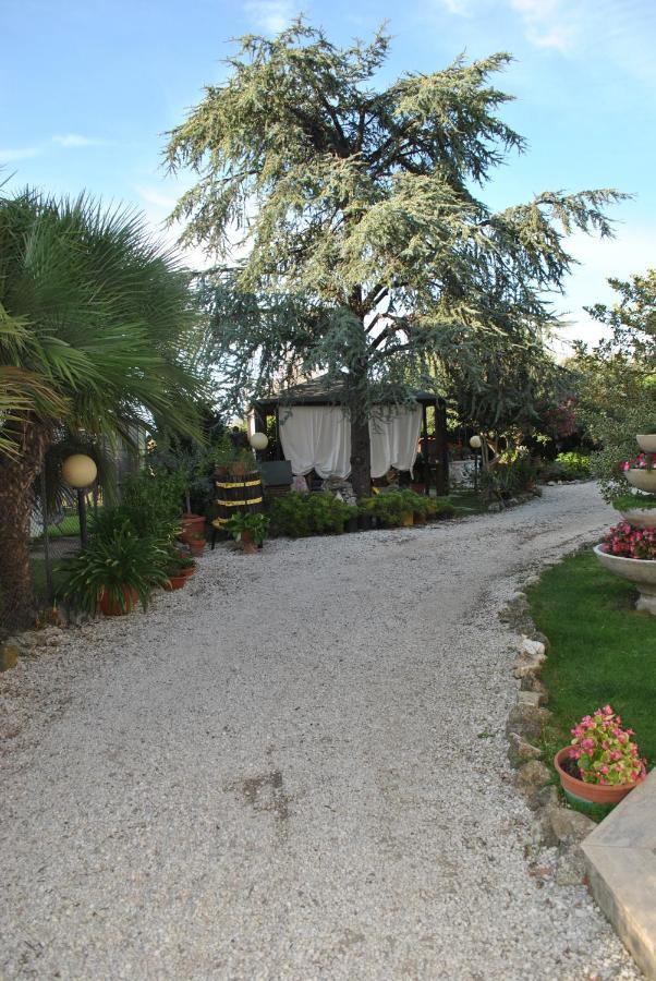 ויטרבו Villino Alle Terme מראה חיצוני תמונה