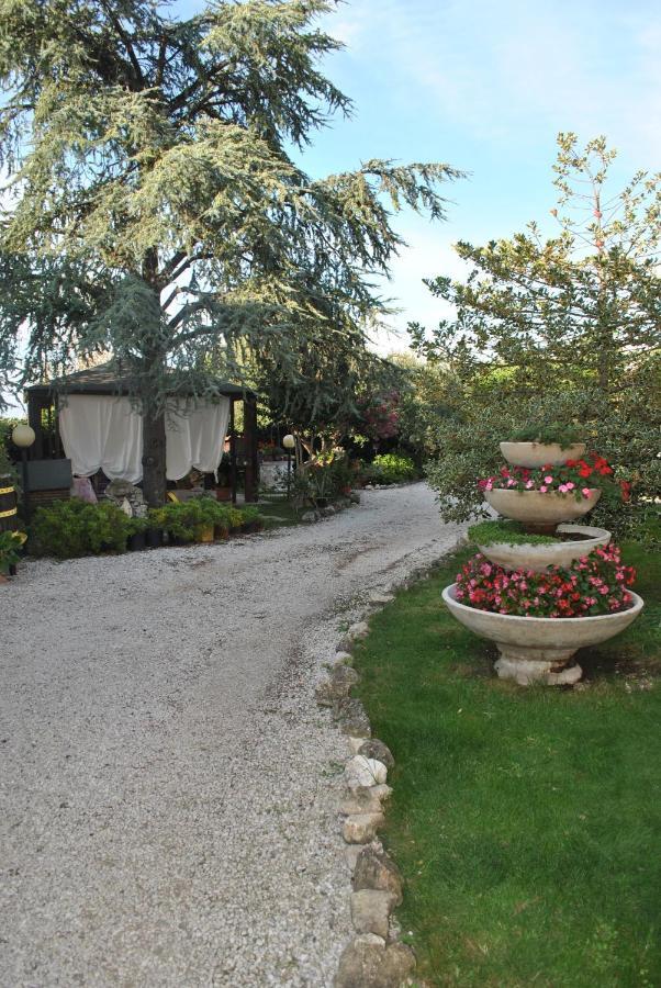 ויטרבו Villino Alle Terme מראה חיצוני תמונה